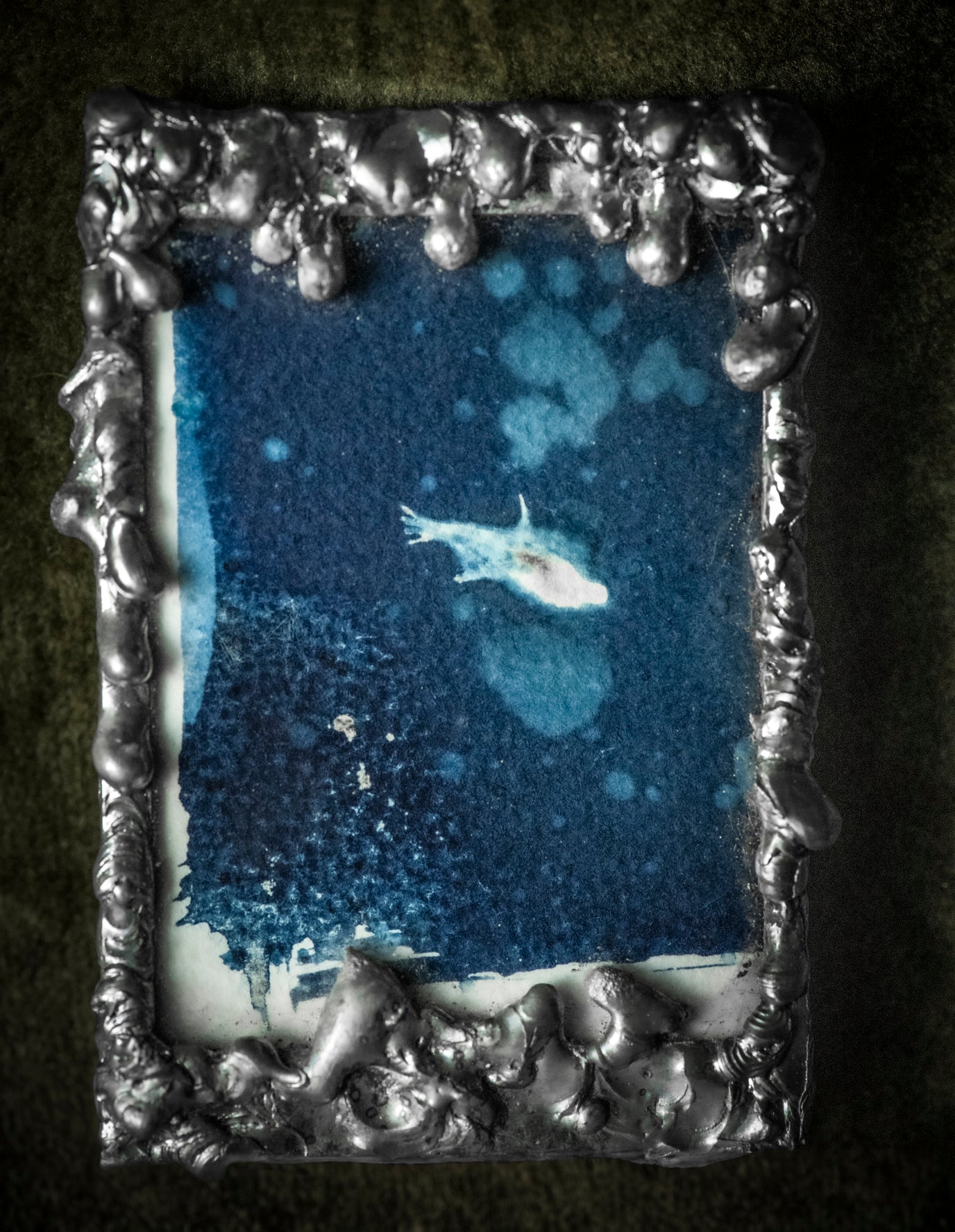 Golden Tetra Cyanotype Soldered Framed Print
