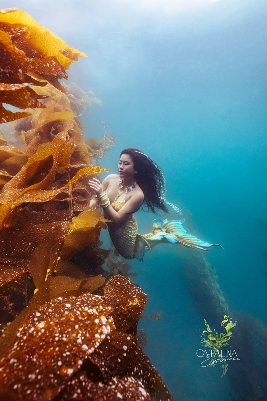 Kelp Tender