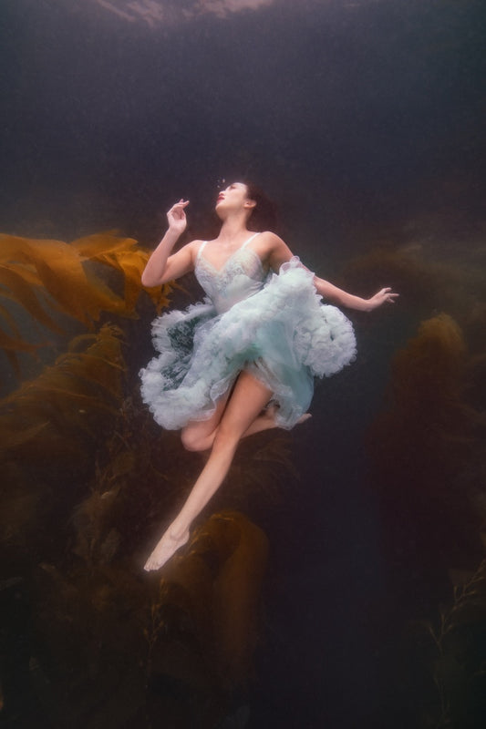 Siren Song